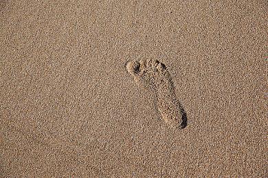 索尼中国之星官推透露新作消息 新作或为《暗夜长梦》